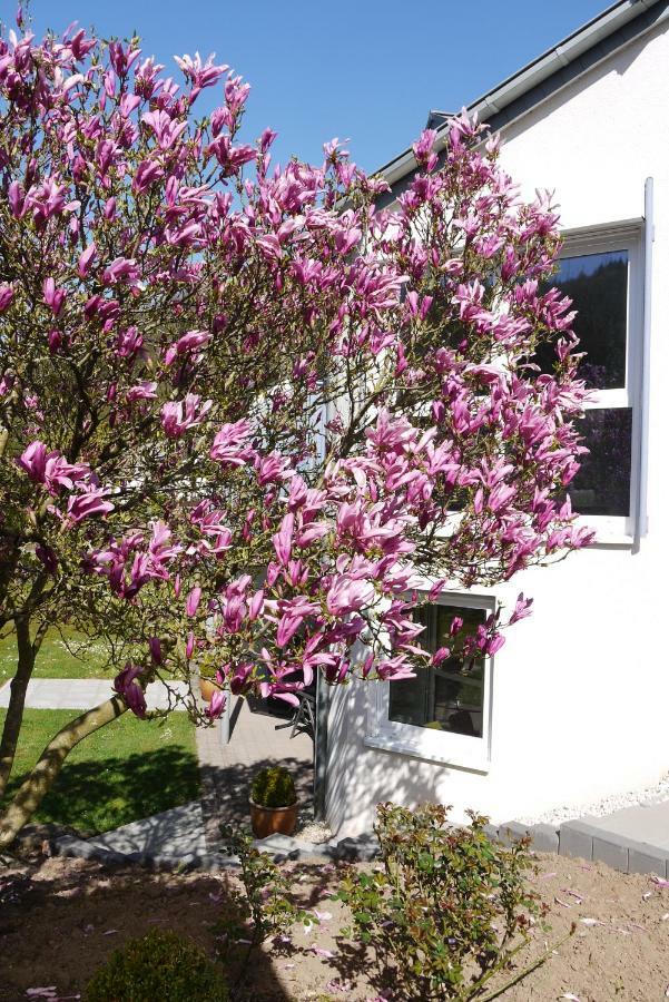 Ferienwohnung "Magnolia" Kordel Экстерьер фото